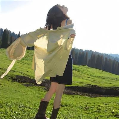 导演先生的完美假期